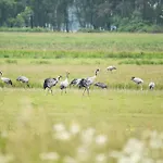 アパート Ostseedomizil - 5 Sterne Ihr Rueckzugsort Zwischen Ostsee Und Bodden ヴストロ
